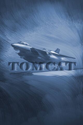 F 14 Tomcat壁紙 Phonekyから携帯端末にダウンロード