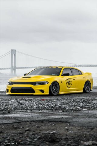Unleashing the Beast: Charger Scatpack in Bold Yellow! 🐝💨