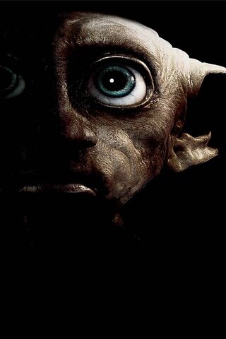 Dobby's Enigmatic Gaze 👀✨