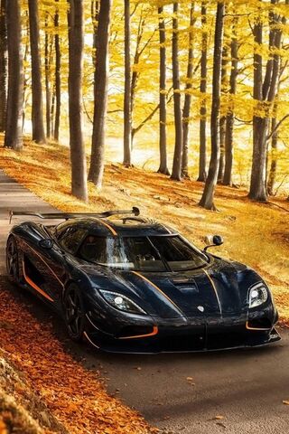 Autumn Majesty: The Koenigsegg Agera in Nature's Embrace 🍂🚗