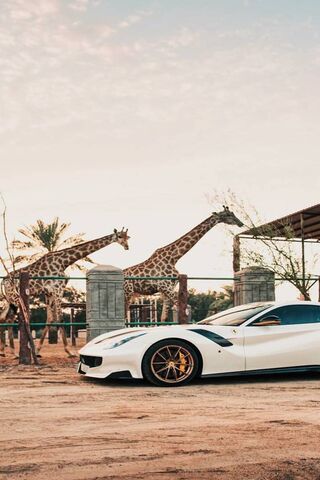 Ferrari F12 TDF: A Roaring Beauty Among Giants 🦒🚗