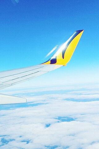 Soaring Above the Clouds 🌤️✈️