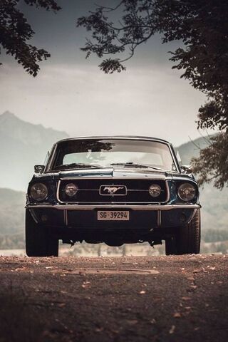 Classic Mustang: A Stre..