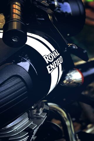 The Heart of the Ride: ..