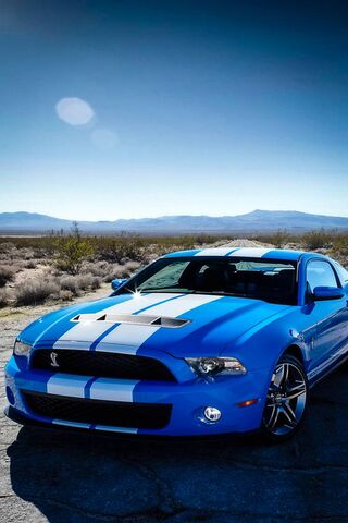 Unleashing Power: The F..