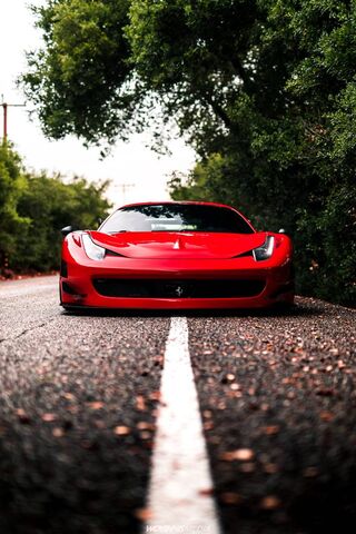 Ferrari: The Icon of Sp..
