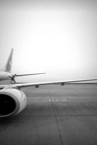 Soaring High: The Journey of Iraqi Airlines ✈️