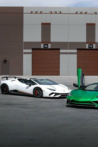 Lamborghini Dreams: A Duo of Power and Style 🚗💨