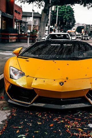 Lambo Pumpkin