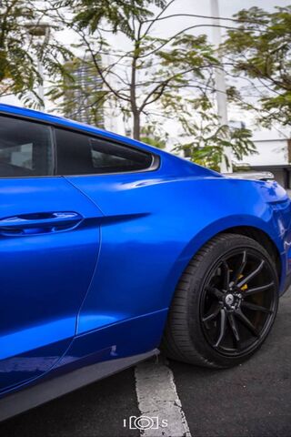 Mustang Mr11