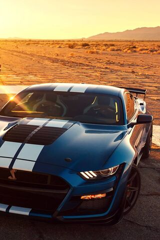 Mustang Gt500