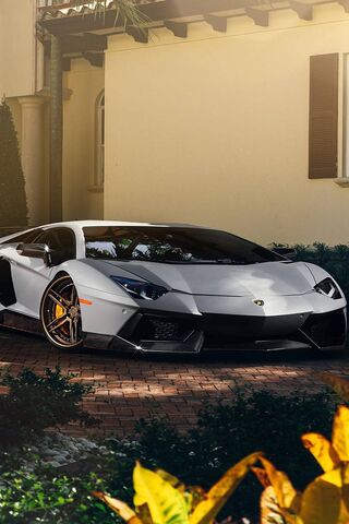 Matt Aventador: The Pin..