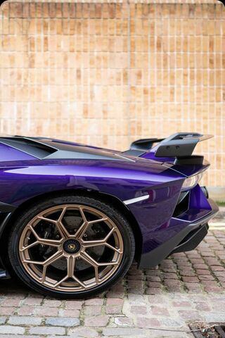 Svj Profile