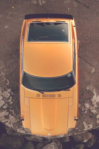 Z240: A Classic Beauty in Golden Glory ✨🚗