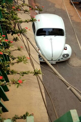 Classic Charm: The Iconic Volkswagen Beetle 🚗✨
