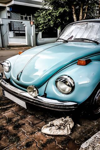 Volkswagen Beetle