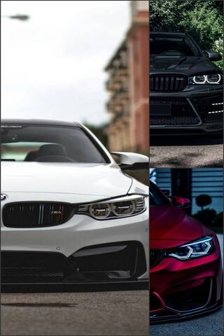 Carro Carros: The Ultimate BMW Showcase 🚗✨
