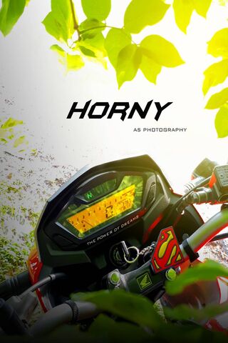 Hornyhornet93