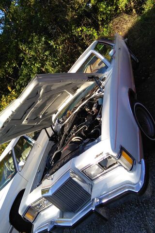 1978 Couger