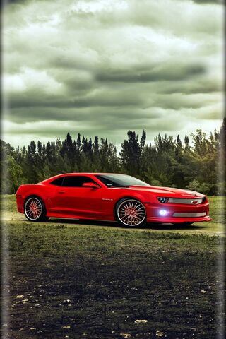 Crimson Speedster: The ..