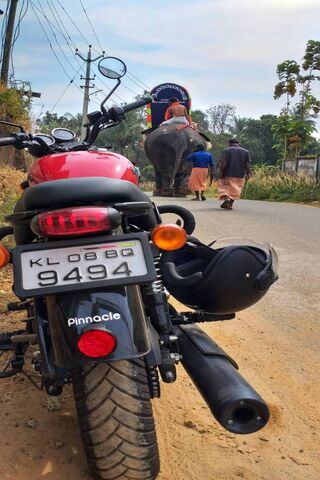 Thunderbird X: The Road Less Traveled 🏍️🌄