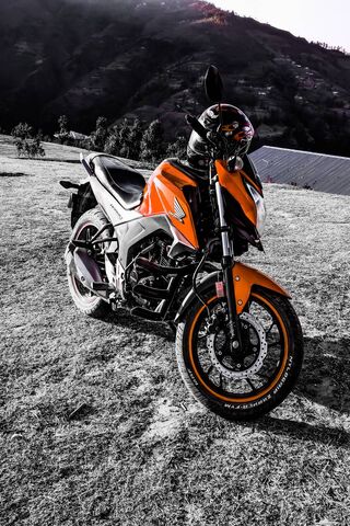 Honda Hornet