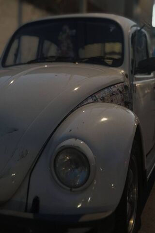 Classic Charm: The Vw Vocho