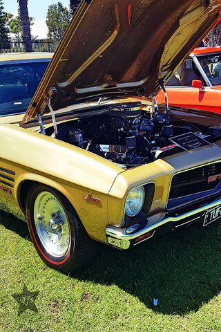 Holden's Golden Glory: A Classic Car Show Star! 🚗✨