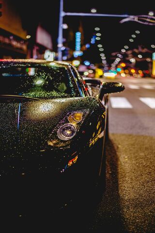 Nighttime Elegance: The..