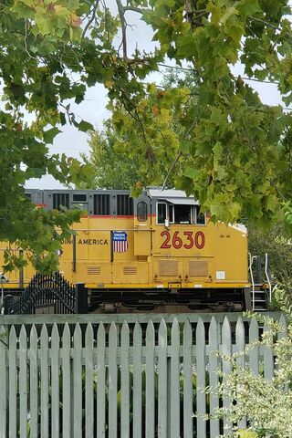 Union Pacific's Bold Journey 🚂🌾