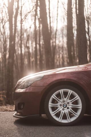 Sleek Power: The BMW M5 E60 in Nature's Embrace