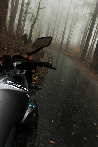 Mystical Ride Through the Mist 🌫️🏍️
