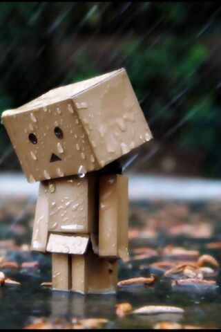 Danbo: A Little Box in the Rain ☔️