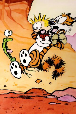Calvin and Hobbes 4