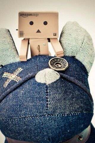 Danbo's Cozy Adventure 🐻📦