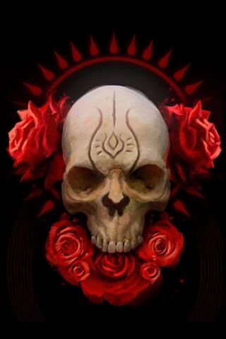 Beauty in Darkness: The..