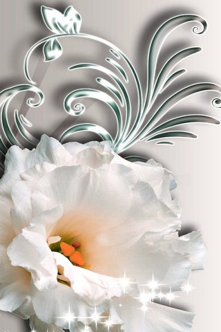 Elegance in Bloom 🌸✨