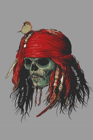 The Fearless Pirate's L..
