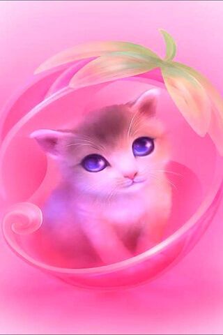 Purrfectly Pink: The En..