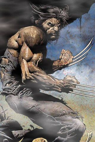 Wolverine: The Relentless Warrior 🐾