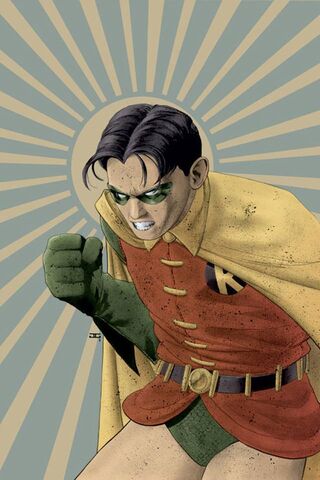 Robin I4 Wallpaper - Download to your mobile from PHONEKY