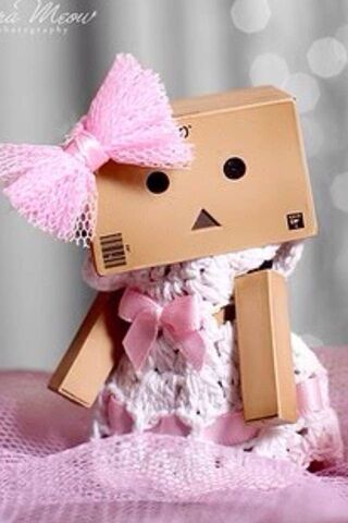 Danbo's Enchanted Eveni..