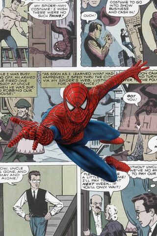 Web-Slinging Adventures..