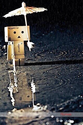 Danbo's Rainy Adventure ☔️