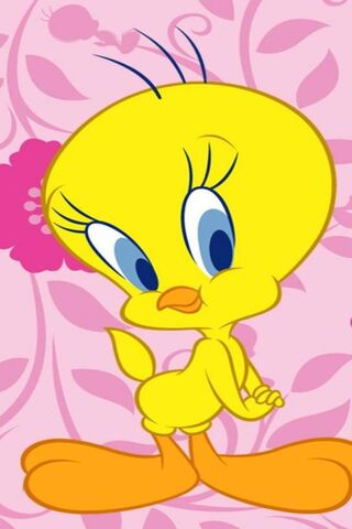 Tweety's Charming Smile..
