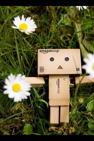 Danbo's Floral Adventure 🌼🤖