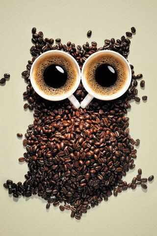Caffeinated Wisdom: The Coffee Owl 🦉☕