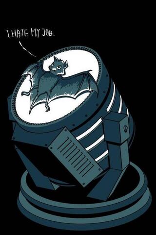 The Bat's Dilemma: A Job Like No Other