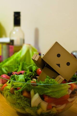 Danboard's Crunchy Adventure 🥗🤖