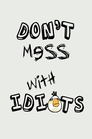 Wise Words from the Angry Bird 🐦💥